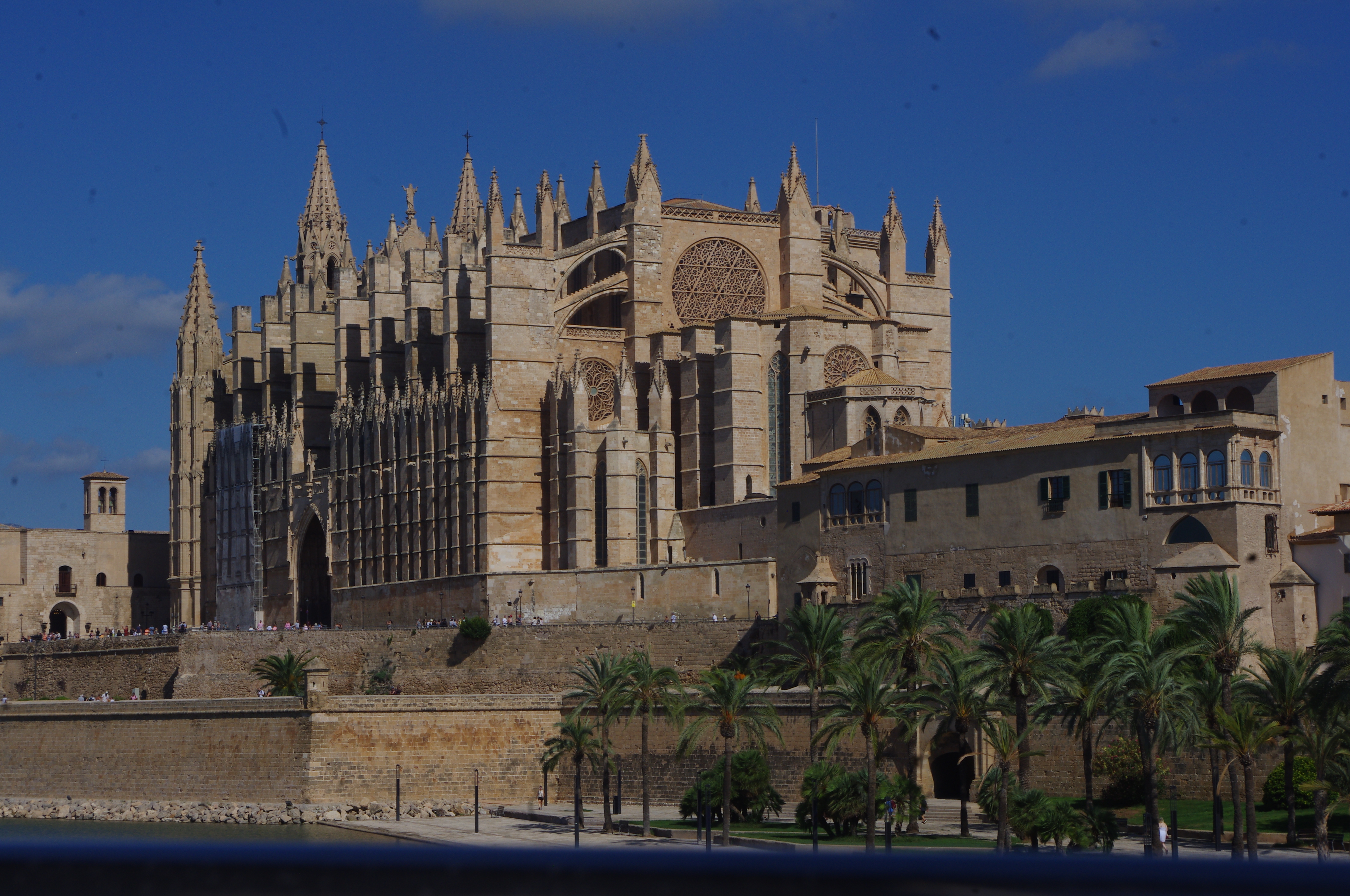 Palma 16 Sept 2025